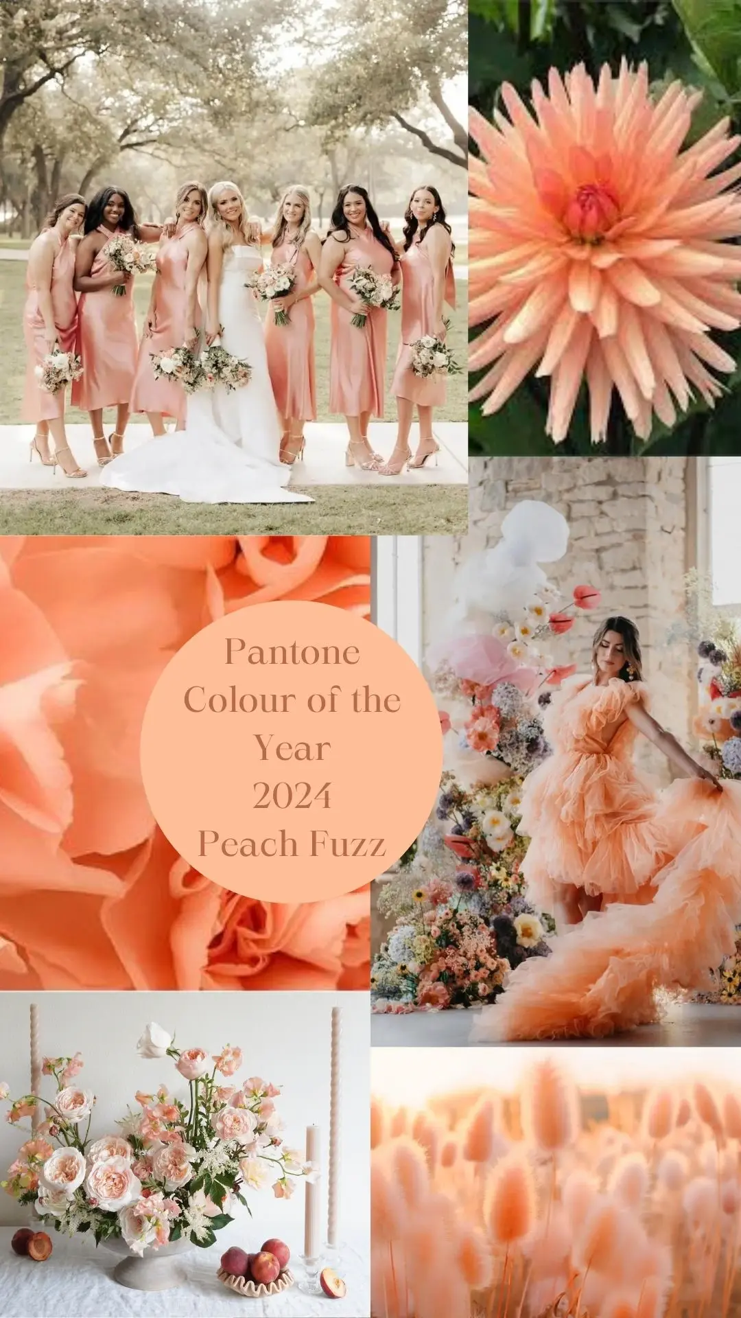 <br />
<b>Warning</b>:  Undefined variable $ImageTitle in <b>D:\Sites\3. Beta\Booker Weddings\Views\Blog\BlogListing.php</b> on line <b>11</b><br />
